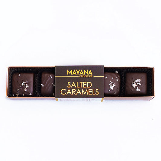 Fleur de Sel Caramels - Chocolate Covered