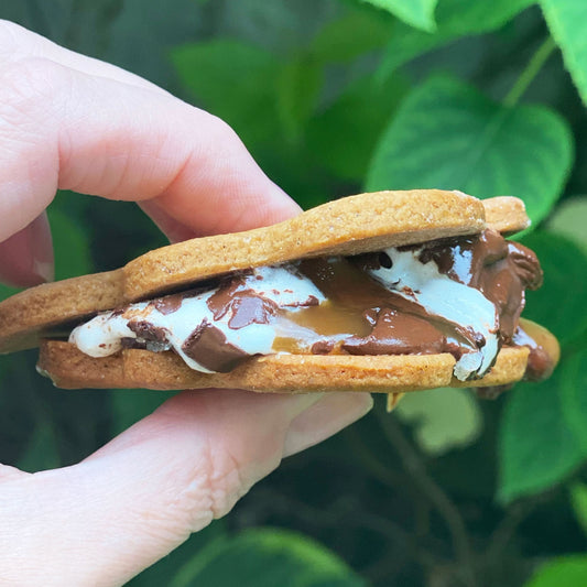 S'mores Cloud Kit - inspired by Luna!